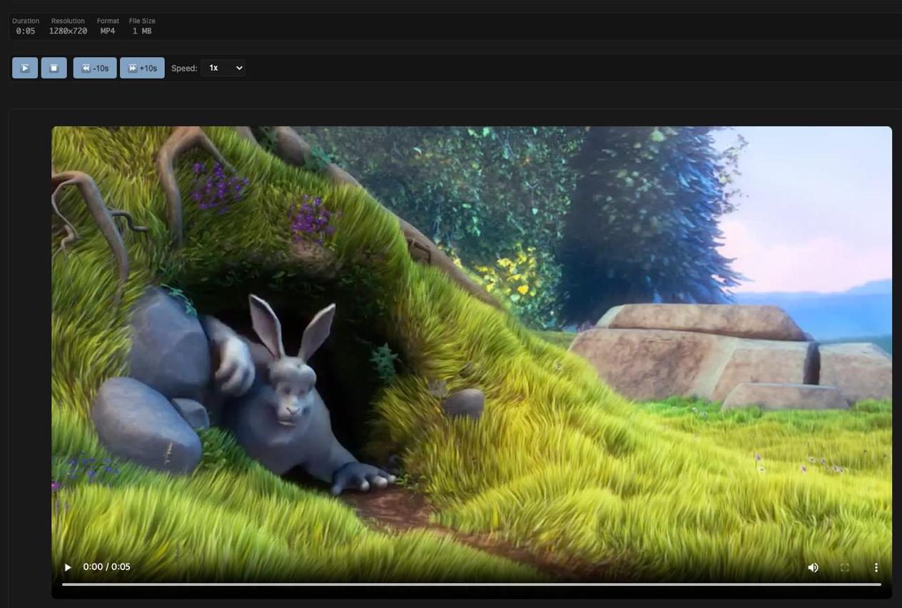 Video Viewer Screenshot